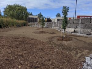 Balterre Paving Contract - Starbucks Chemong Road